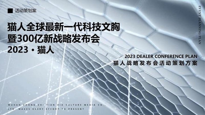 品牌策划全案：构建企业独特魅力的关键